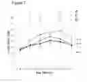 Fig. 09 - COMPOSITIONS FOR USE IN CARTILAGE BREAKDOWN