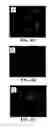 Fig. 05 - Compositions comprising nanoparticles and apoptotic agents and methods of use