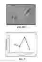 Fig. 11 - Compositions comprising nanoparticles and apoptotic agents and methods of use