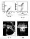 Fig. 06 - ORGANOIDS COMPRISING ISOLATED RENAL CELLS AND USE THEREOF