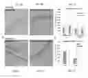 Fig. 06 - Method and Composition for Hypothermic Storage of Placental Tissue