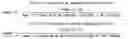 Fig. 02 - Medicinal composition of amaranth extract having enriched nitrate content and a method of preparing the same