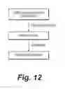 Fig. 13 - Medicinal composition of amaranth extract having enriched nitrate content and a method of preparing the same