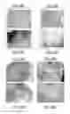 Fig. 17 - Method for obtaining a plant extract and associated compositions