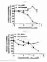 Fig. 04 - Composition for preventing or treating hepatitis C including vitidis vinferae radix extract or fraction thereof as active ingredient