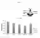Fig. 09 - Method for therapeutic replenishment and enrichment of ocular surface lubrication