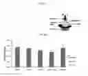 Fig. 10 - Method for therapeutic replenishment and enrichment of ocular surface lubrication