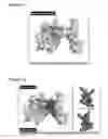 Fig. 02 - Peptides having anti-inflammatory properties