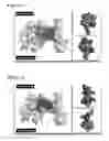 Fig. 03 - Peptides having anti-inflammatory properties