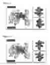 Fig. 04 - Peptides having anti-inflammatory properties