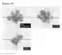 Fig. 07 - Peptides having anti-inflammatory properties