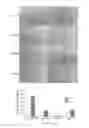 Fig. 13 - Compounds and methods of modulating angiogenesis