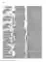 Fig. 09 - COMPOSITION CONTAINING PALMULTANG EXTRACT FOR PROMOTING PROLIFERATION OF STEM CELLS DERIVED FROM BONE MARROW