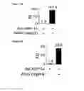 Fig. 04 - Method for reducing blood glucose