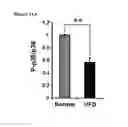 Fig. 24 - Method for reducing blood glucose