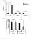 Fig. 26 - Method for reducing blood glucose