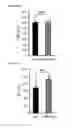 Fig. 28 - Method for reducing blood glucose