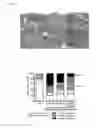 Fig. 09 - Attenuated bacteria and methods of using