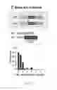 Fig. 15 - COMPOSITIONS AND METHODS FOR PERSONALIZED NEOPLASIA VACCINES