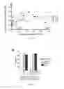 Fig. 17 - COMPOSITIONS AND METHODS FOR PERSONALIZED NEOPLASIA VACCINES