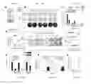 Fig. 22 - COMPOSITIONS AND METHODS FOR PERSONALIZED NEOPLASIA VACCINES