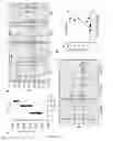 Fig. 02 - Immunization to protect against adverse cardiac events relating to pneumococcal infection