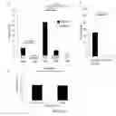 Fig. 04 - Immunization to protect against adverse cardiac events relating to pneumococcal infection