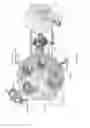 Fig. 03 - NONLINEAR SACCHARIDE CONJUGATES
