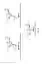 Fig. 35 - NONLINEAR SACCHARIDE CONJUGATES