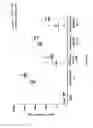 Fig. 45 - NONLINEAR SACCHARIDE CONJUGATES