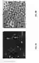 Fig. 16 - MRI imaging of amyloid plaque using liposomes