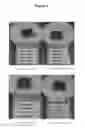Fig. 03 - COMPOSITIONS COMPRISING HONEY AND A SUPER-ABSORBENT MATERIAL