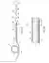 Fig. 03 - Myocyte-derived flow assist device: extravasal sheaths of rhythmically contracting myocytes aiding flow of biological fluids