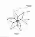 Fig. 09 - Copolymer membrane for high-dose chemotherapy delivery during transarterial chemoembolization