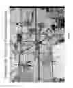Fig. 03 - Coatings containing multiple drugs