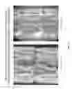 Fig. 20 - Coatings containing multiple drugs