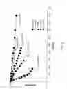 Fig. 03 - Method of treating with poly(L-lactide) stent with tunable degradation rate