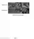 Fig. 03 - BLOOD FILTRATION SYSTEM CONTAINING MANNOSE COATED SUBSTRATE
