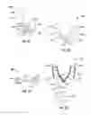 Fig. 05 - Nasal spray delivery guide