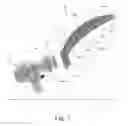 Fig. 07 - Bag/valve/mask resuscitator stabilizer arm and method of use