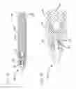 Fig. 20 - Methods and apparatus for disinfecting and reflux prevention flush syringe assembly
