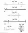Fig. 12 - Apparatus and methods for assisted breathing by transvascular nerve stimulation