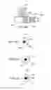 Fig. 04 - Methods, devices, and systems for obesity treatment