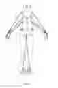 Fig. 19 - Sports Performance Enhancement System