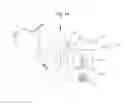 Fig. 17 - Jaw exerciser