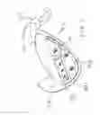Fig. 10 - GOLF CLUB HEAD WITH VARIABLE CENTER OF GRAVITY