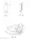 Fig. 06 - Golf club having removable weight