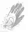 Fig. 01 - Glove for conforming to hands of various sizes