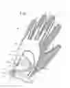 Fig. 02 - Glove for conforming to hands of various sizes