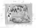 Fig. 01 - Child entertainment apparatus and interactive device